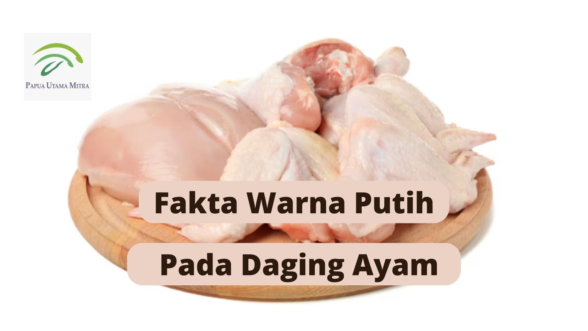 Fakta Warna Putih Pada Daging Ayam